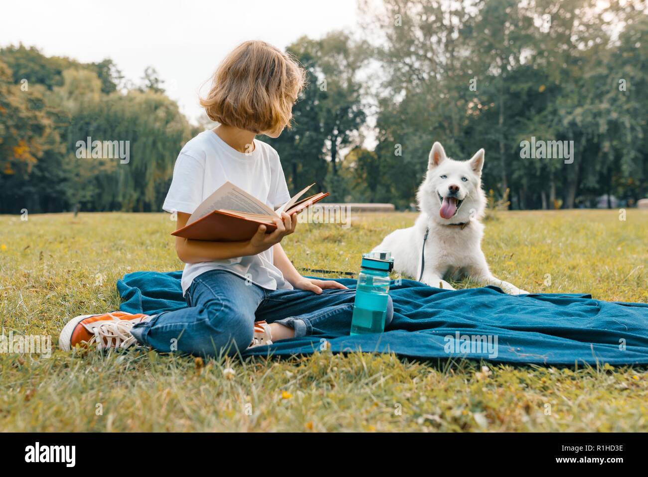 Kinderfreundliche Hunde Stockfotos &amp; Kinderfreundliche Hunde Bilder Alamy