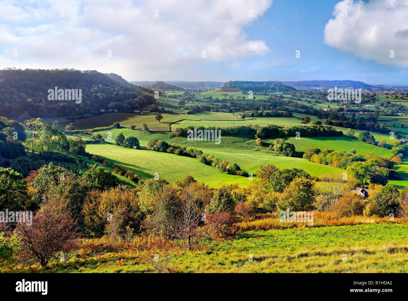 Herbst beginnt ein Aussehen in der Severn Valley, Gloucestershire zu machen. Stockfoto