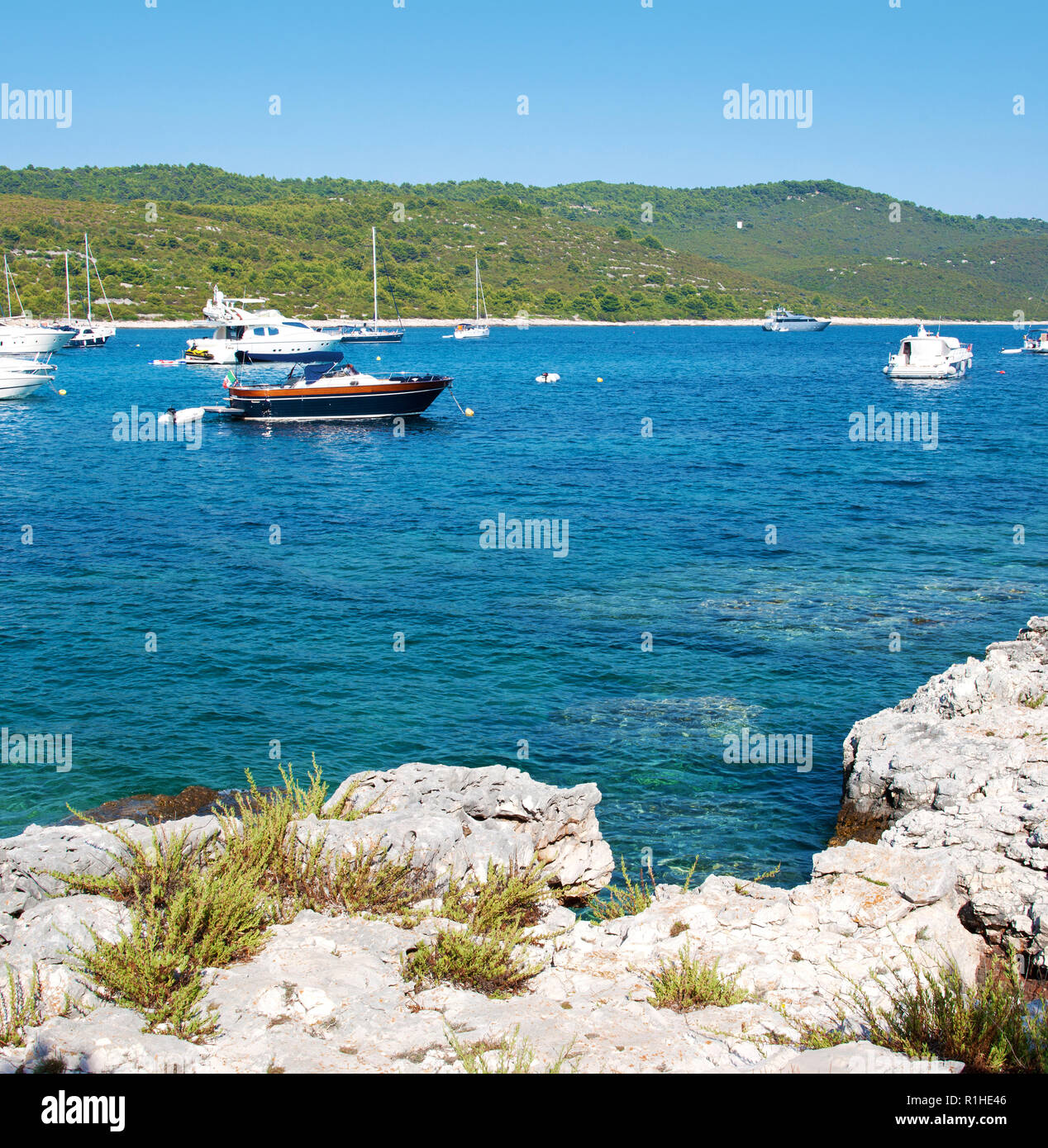 Transparente azurblauen Wasser der Lagune, viele Yachten und ein Boot im Meer und Hügel im grünen Wald in der Nähe der felsigen Strand bedeckt. Insel Dugi otok, Croa Stockfoto