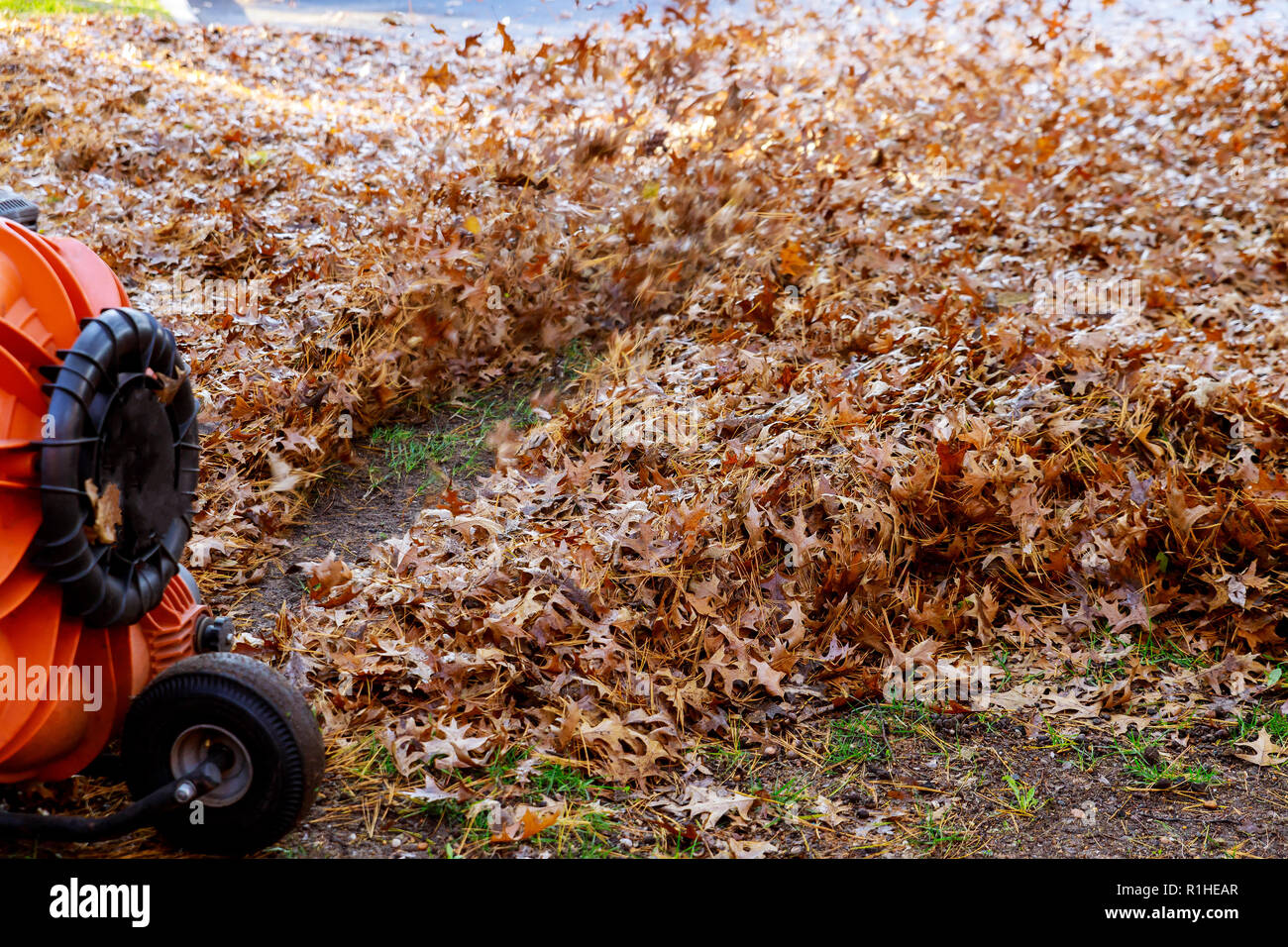 Mann in Arbeit weht aus gelben und roten gefallenen Blätter im Herbst in der Reinigung Hof mit Wind Turbine, Reinigung Rasen Stockfoto