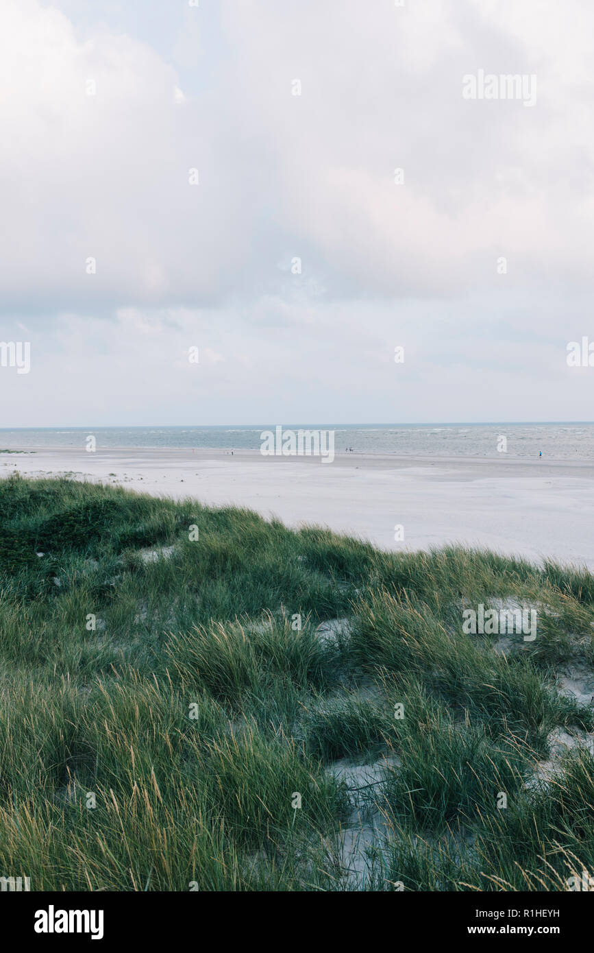 Dänemark Strand Stockfoto