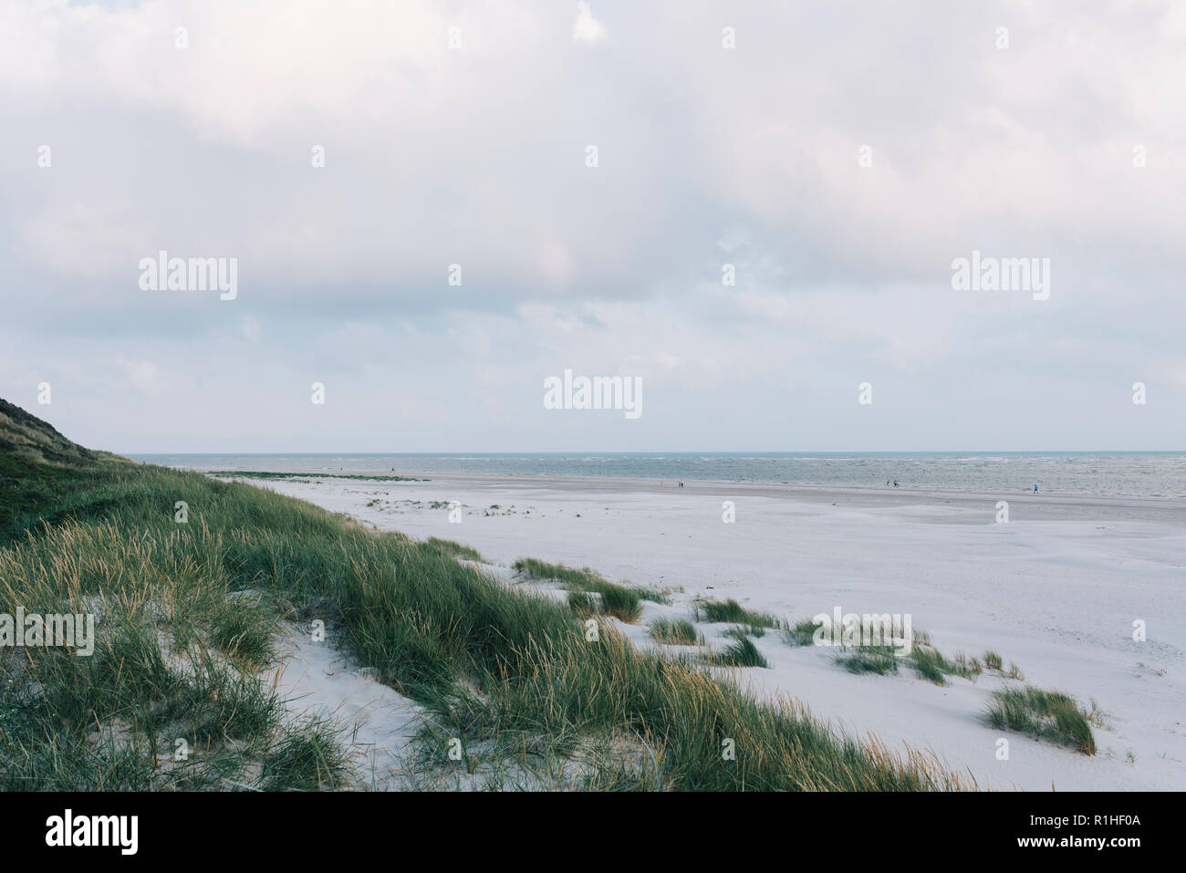 Dänemark Strand Stockfoto