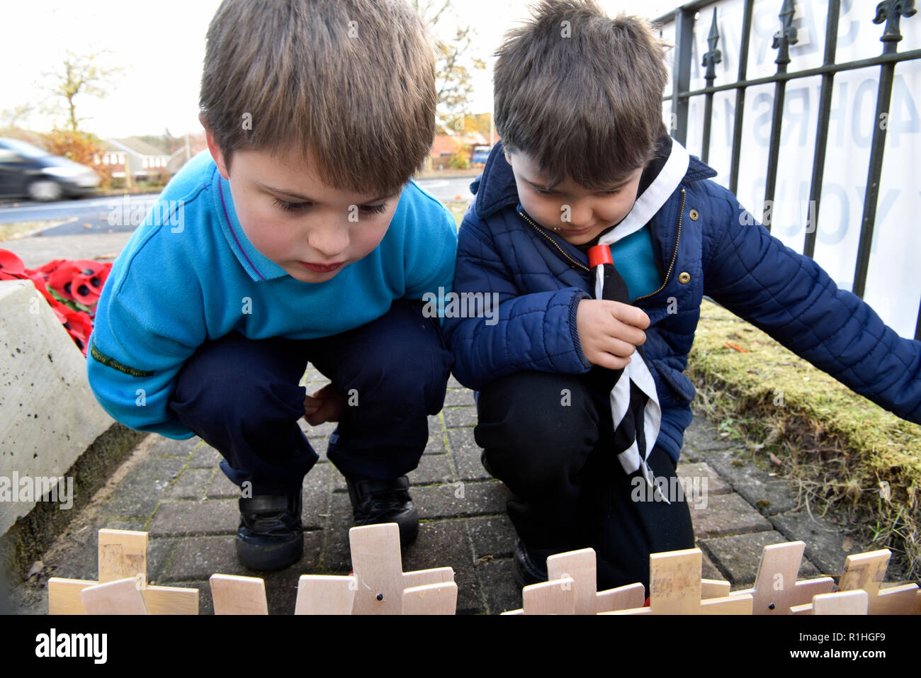 Jugendliche Durchlesen der Kreuze & Mohn auf das Gedenken Sonntag, Kriegerdenkmal, Bordon, Hampshire, UK. 11.11.2018. Stockfoto