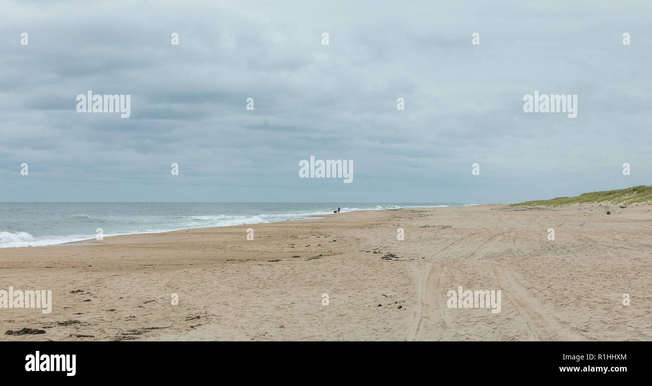 Person, die ein Hund auf einem leeren Indian Wells Strand im Osten von Long Island, NY Stockfoto