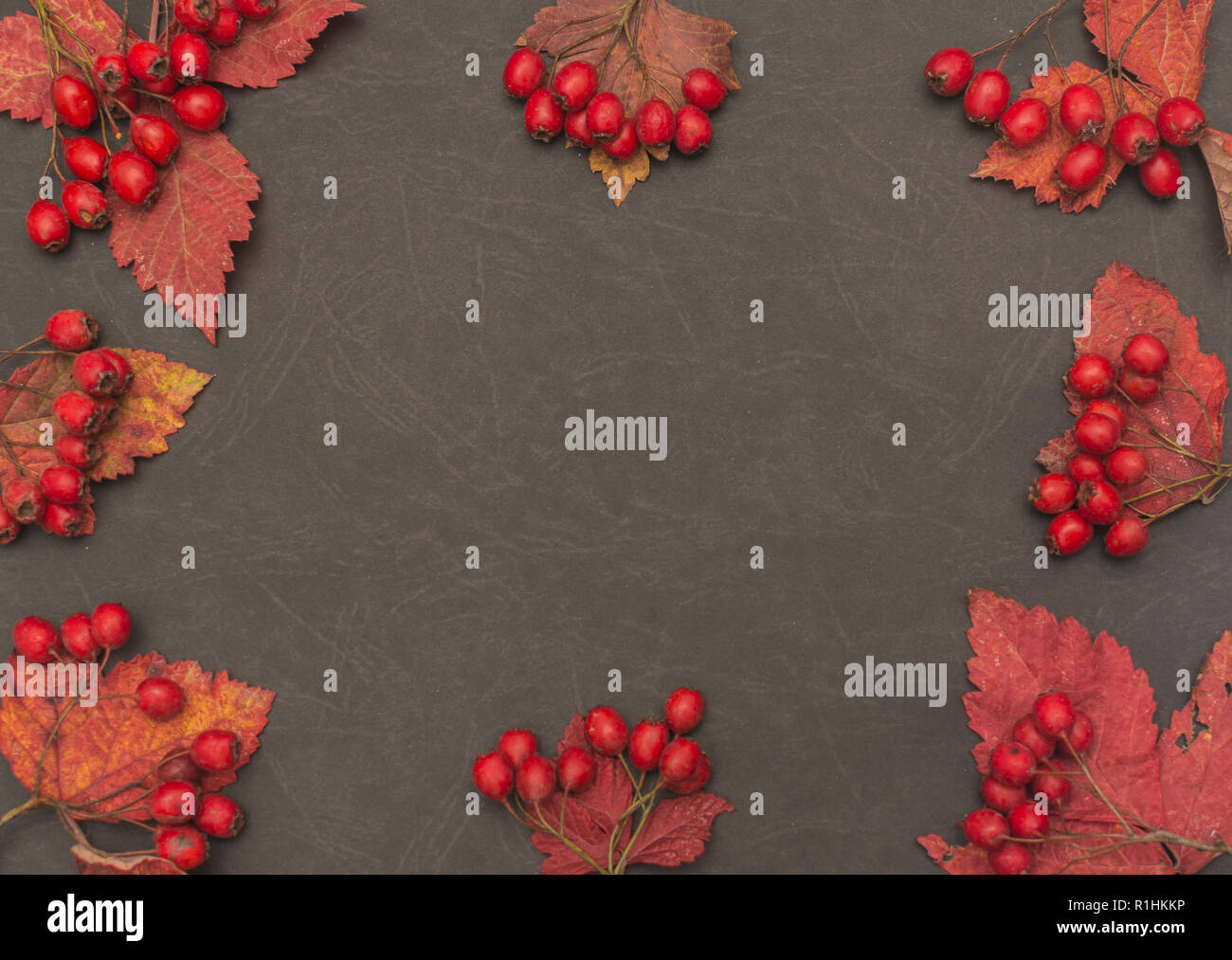 Herbst Hintergrund mit fallen lassen und Früchte auf schwarzem Hintergrund Stockfoto