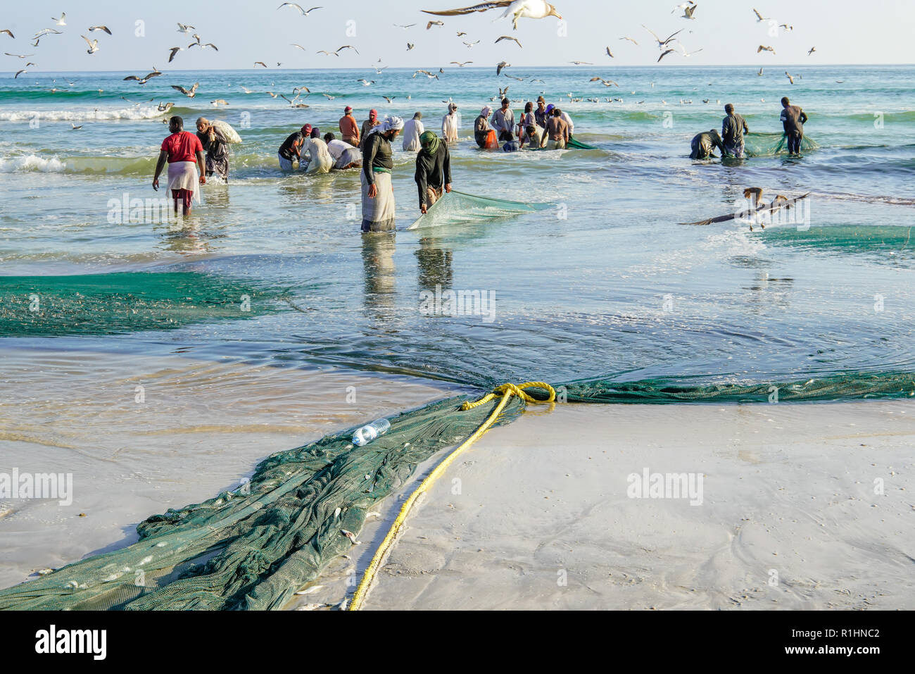 Die einheimischen Arbeiter laden frischen Fänge an die Stadt Markt in Taqah, Salalah, Oman befördert zu werden. Stockfoto