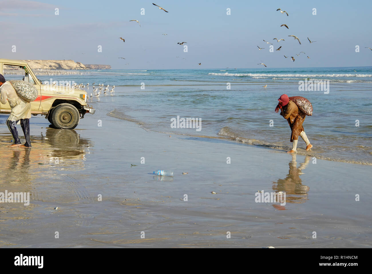 Die einheimischen Arbeiter laden frischen Fänge an die Stadt Markt in Taqah, Salalah, Oman befördert zu werden. Stockfoto