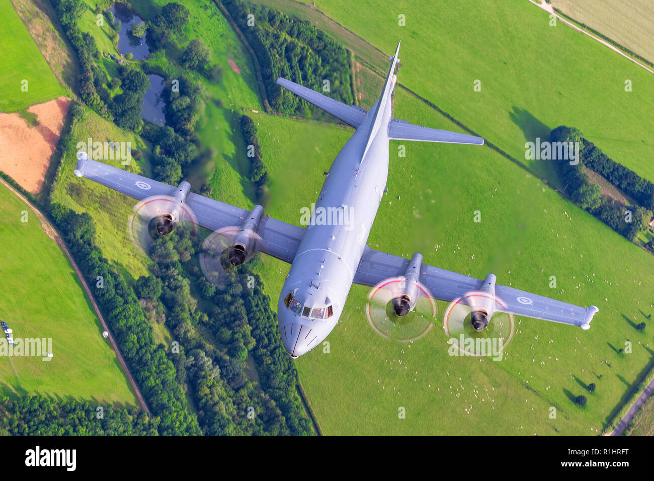 Die Lockheed CP-140 Aurora ist eine maritime Patrol aircraft von der Royal Canadian Air Force betrieben. Das Flugzeug ist auf die Lockheed P-3 Orion Luft Stockfoto