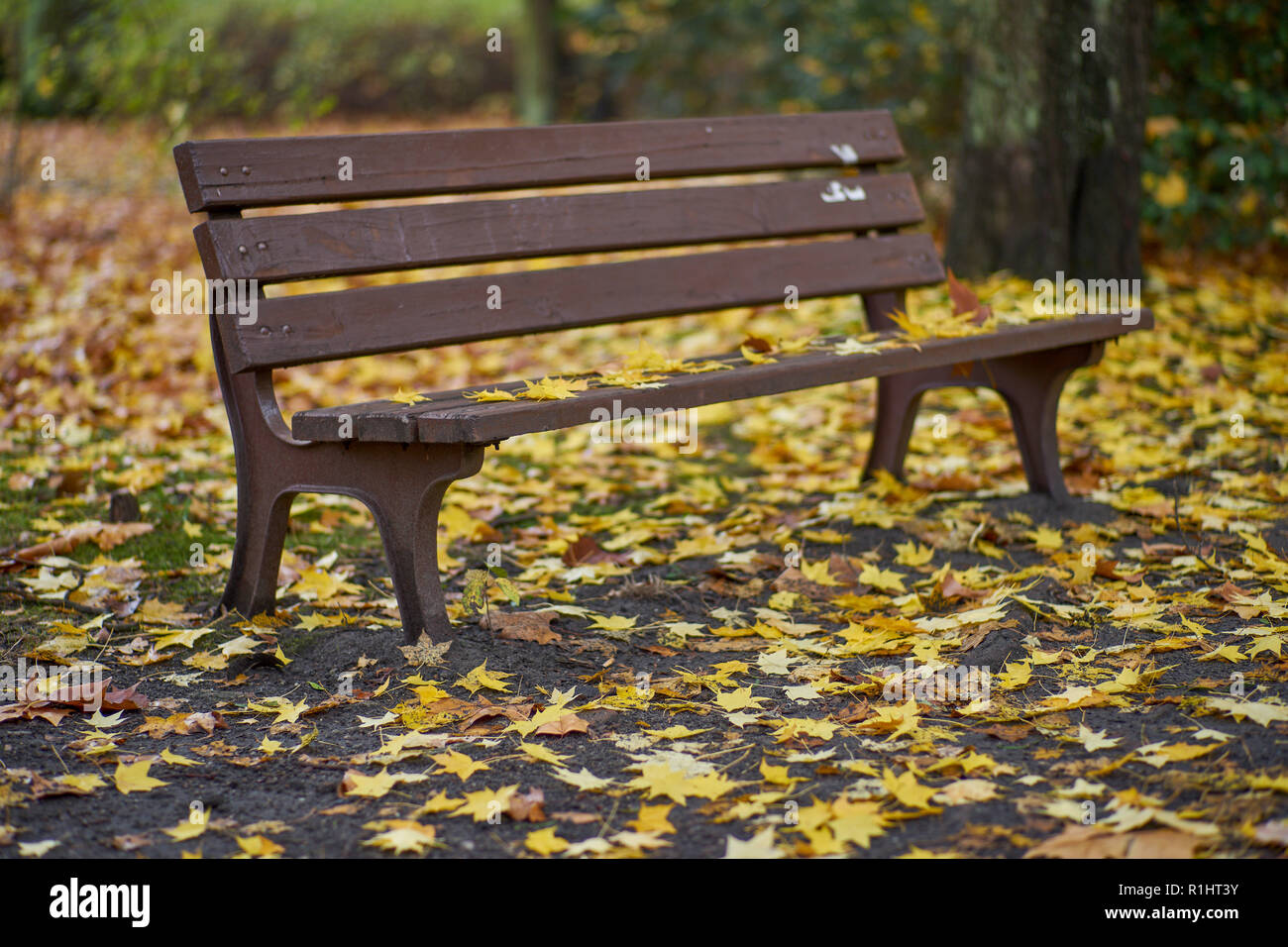 Park Szczytnicki im Herbst Wroclaw Niederschlesien Polen Stockfoto