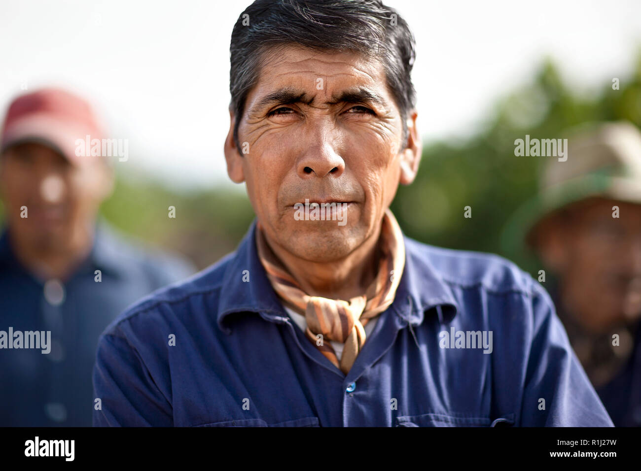 Porträt der Wanderarbeitnehmer auf einem Weingut. Stockfoto