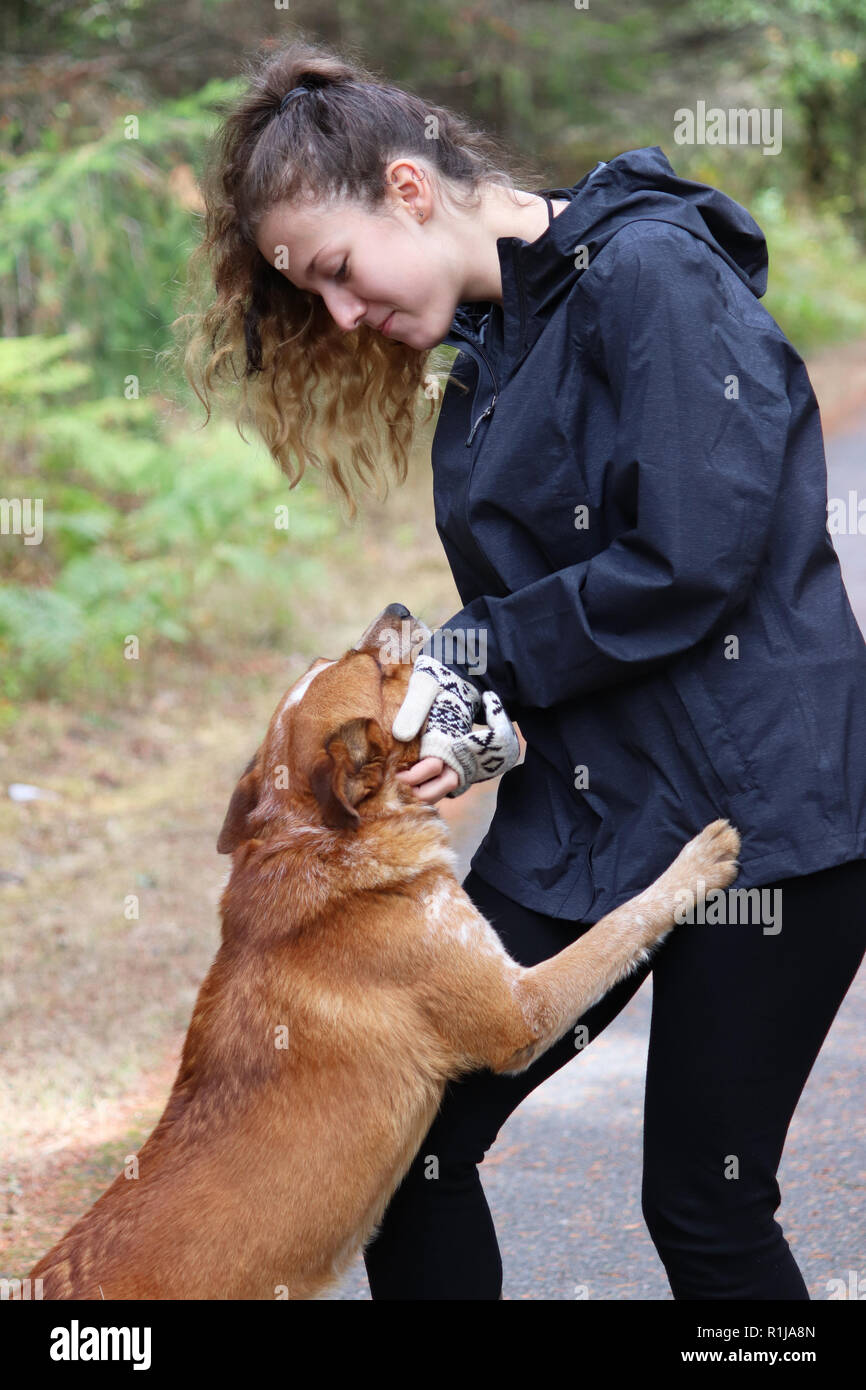 Junge Frau für einen Spaziergang mit ihrem Hund Stockfoto