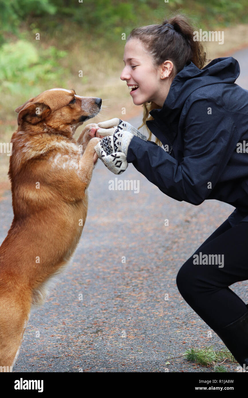 Junge Frau für einen Spaziergang mit ihrem Hund Stockfoto