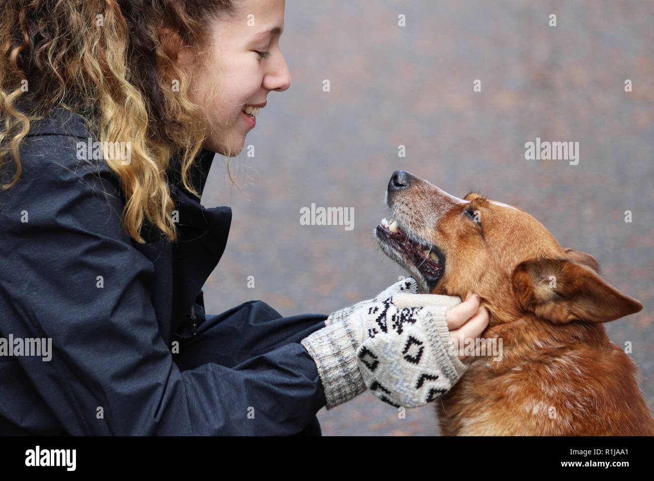 Junge Frau für einen Spaziergang mit ihrem Hund Stockfoto