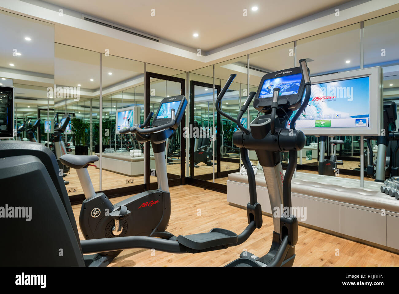 Luxury home gym exercise equipment -Fotos und -Bildmaterial in hoher  Auflösung – Alamy