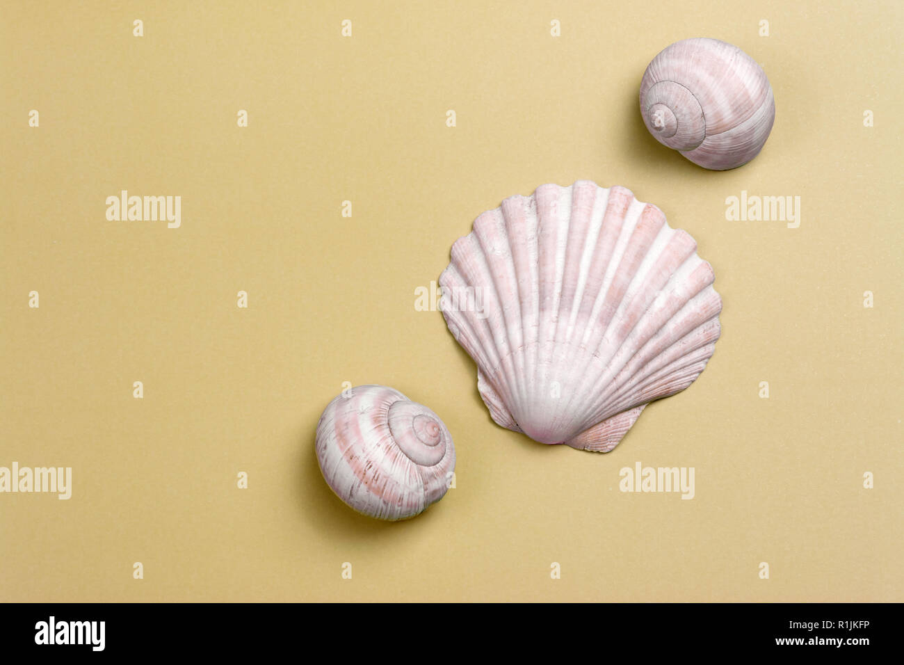 Drei rosafarbenen Muscheln auf einem grobkörnigen Sand farbigen Hintergrund Stockfoto