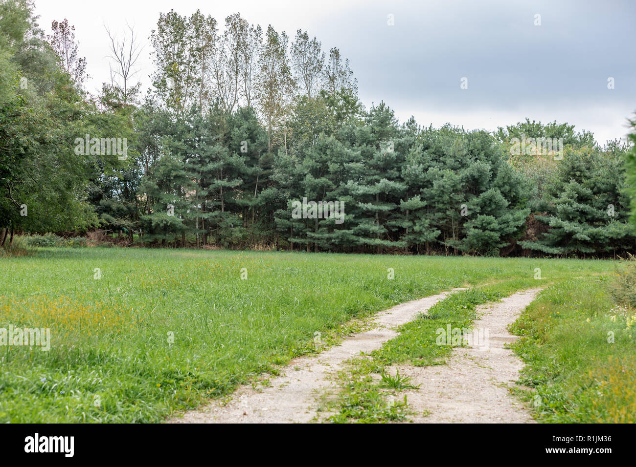 Einfache, unbefestigte Straße in einer grünen Landschaft Stockfoto