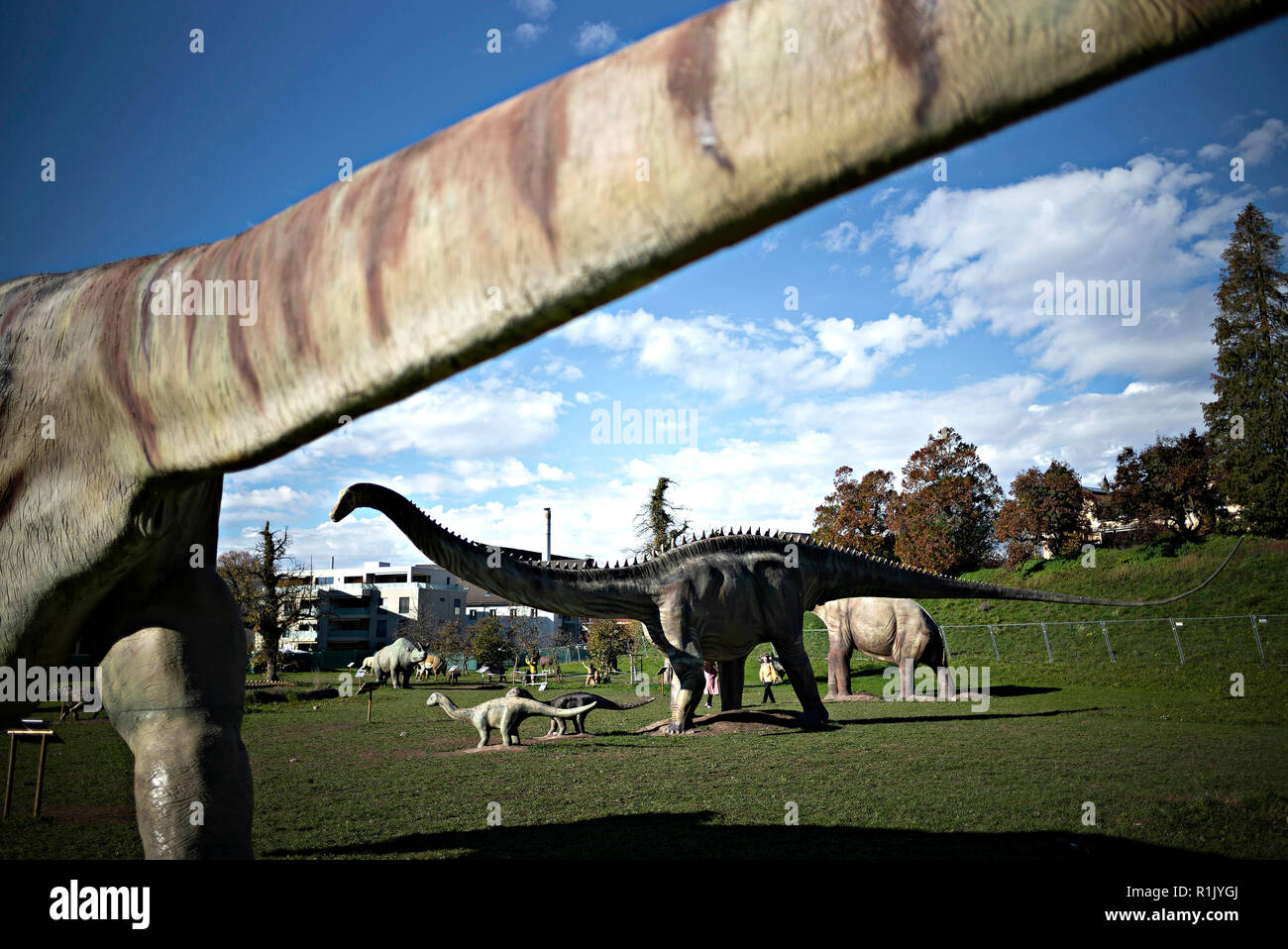 Zürich, 07.11.12. 25 Nov, 2018. Menschen besuchen die Welt der Dinosaurier  in Rapperswil-Jona, Schweiz, Nov. 12, 2018. 60 lebensgroße Dinosaurier und  genaue Replikate werden auf dem Display neben dem Zürich See bis