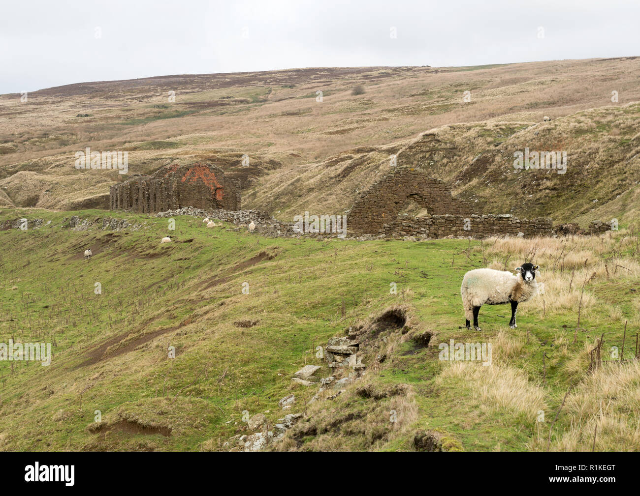 Brachflächen Workshops und/oder Häusern Rosedale Bergbau Ort, North Yorkshire, England, Großbritannien Stockfoto