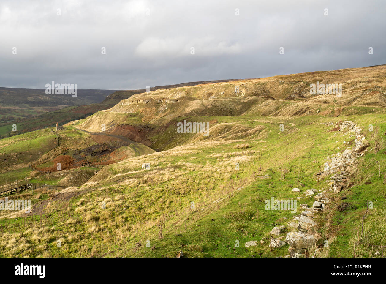 Landschaft, die durch das 19. Jahrhundert Bergbau Industrie, Rosedale, North Yorkshire, England, UK gebildet Stockfoto