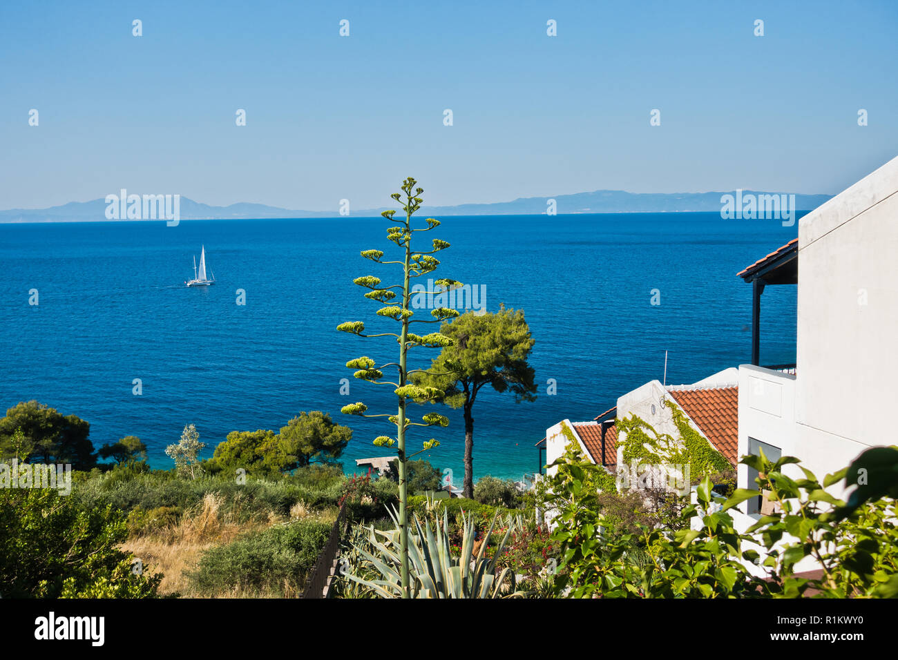 Sicht von Appartment House von Grün an der Küste der Insel Skopelos in der Nähe der Bucht Panormos in Griechenland umgeben Stockfoto