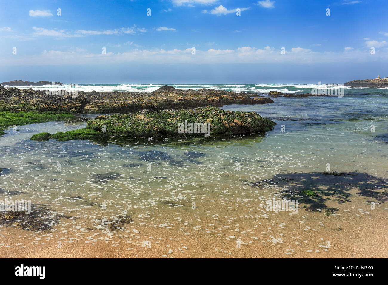 Schönen felsigen Strand aus dem Norden von Portugal Stockfoto