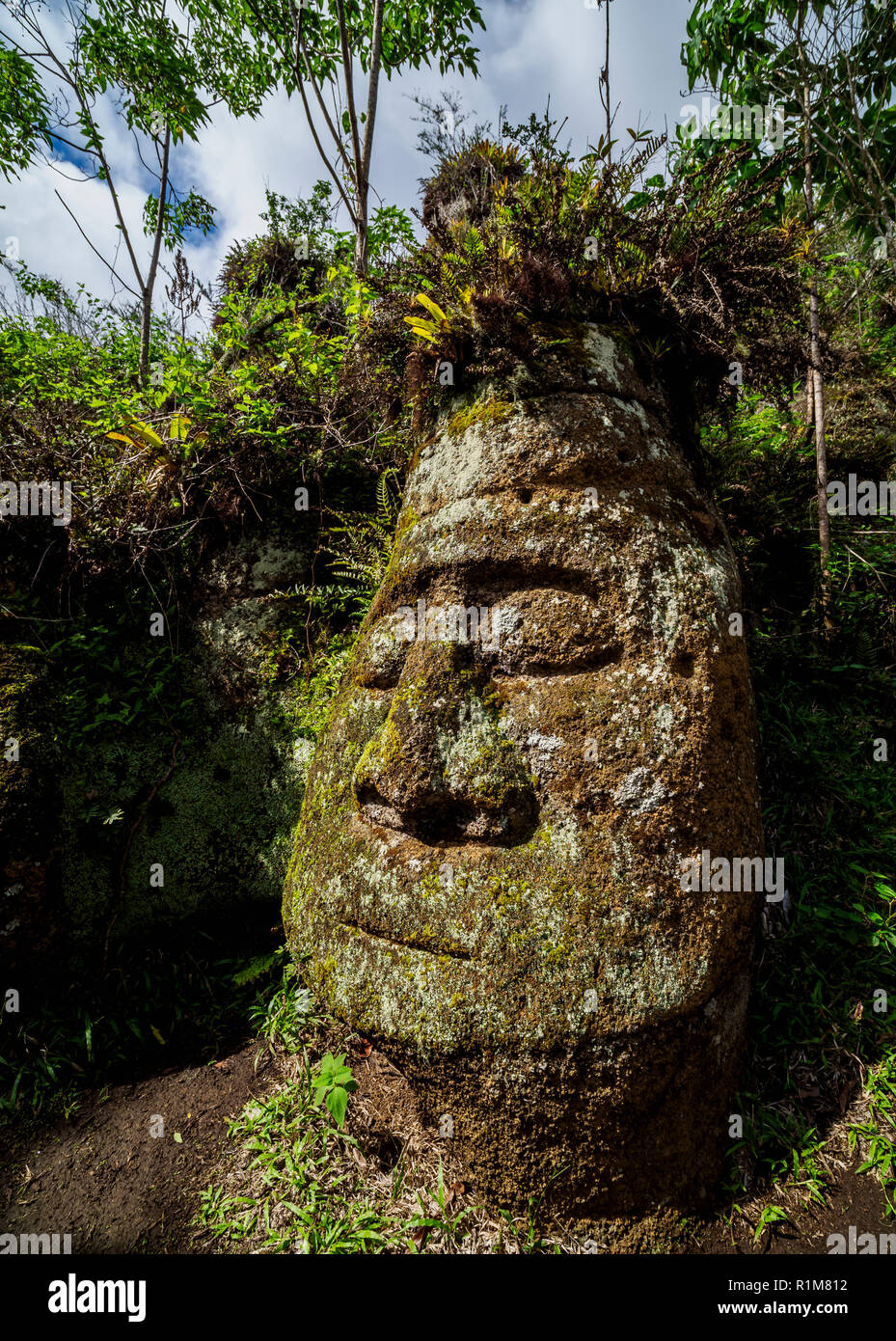 Gesicht Skulptur in Tuffstein, Asilo de la Paz, Hochland von floreana oder Charles Island, Galapagos, Ecuador Stockfoto