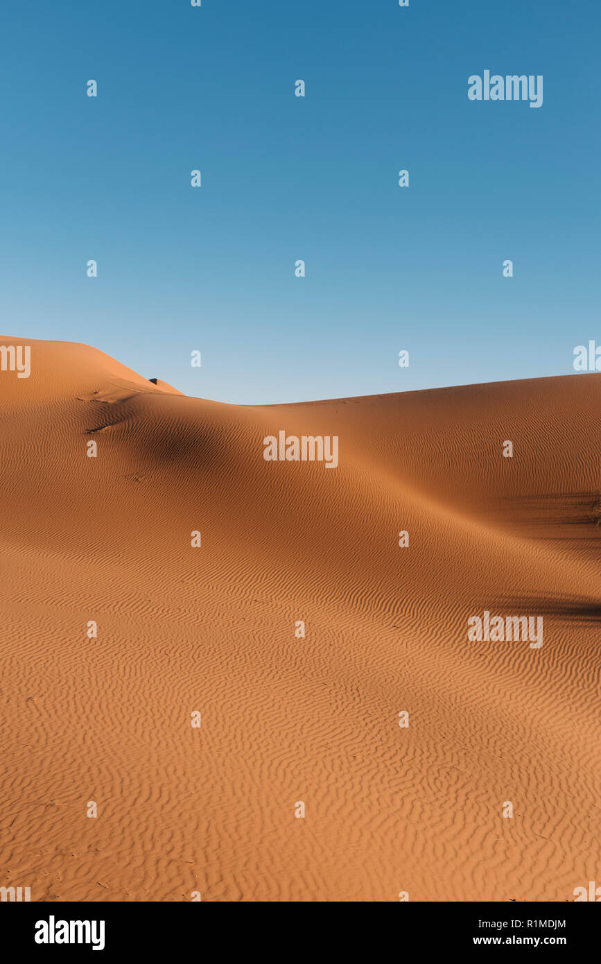 Wüste Marokko Merzouga Stockfoto