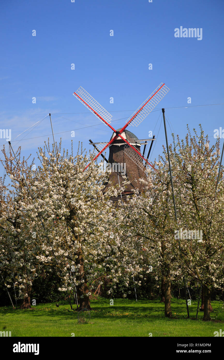 Altes land fruehling -Fotos und -Bildmaterial in hoher Auflösung – Alamy