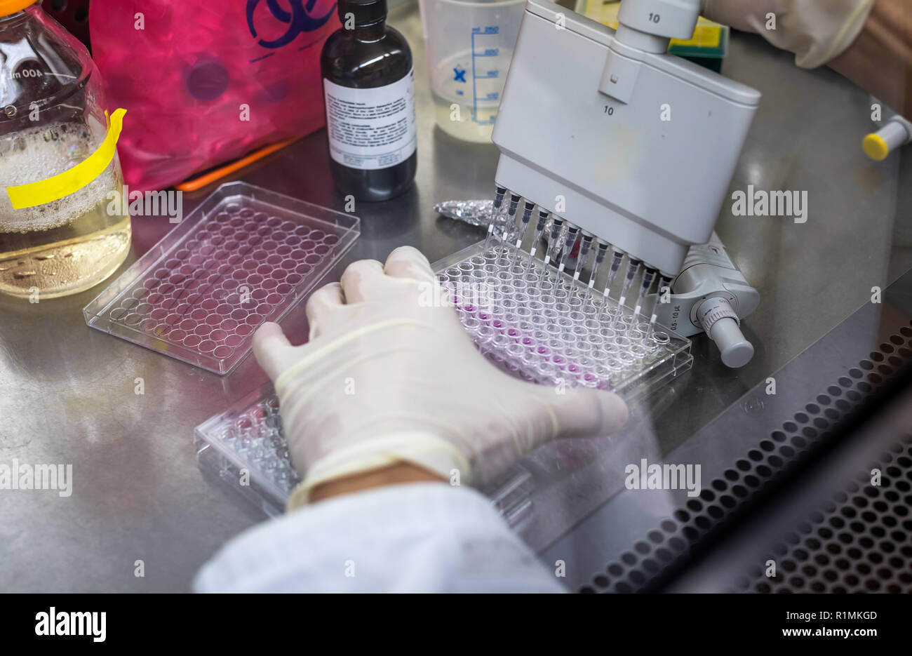Die biomedizinische Forschung in der Biotechnologie Labor Stockfoto