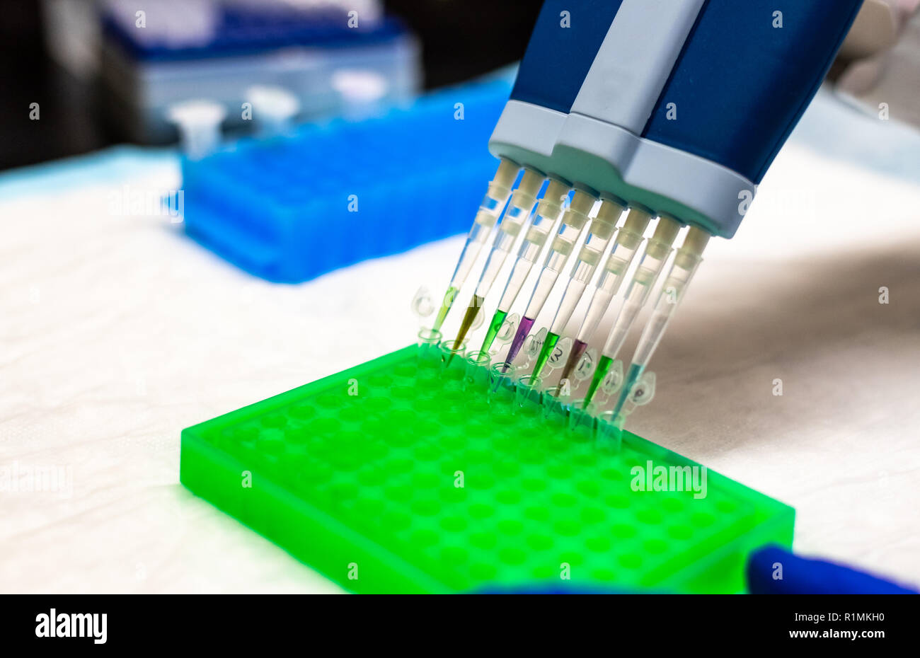 Die biomedizinische Forschung in der Biotechnologie Labor Stockfoto