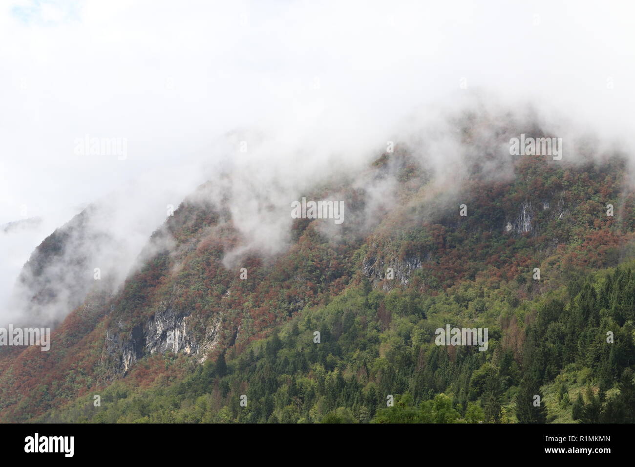 Dichte Wolken an einem Berghang mit Bäumen, Bohinj, Slowenien, Europa Stockfoto