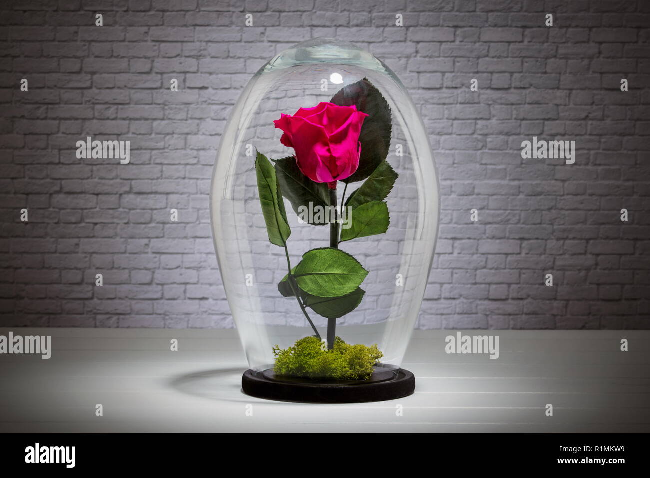 Konserviert mit blumen -Fotos und -Bildmaterial in hoher Auflösung – Alamy