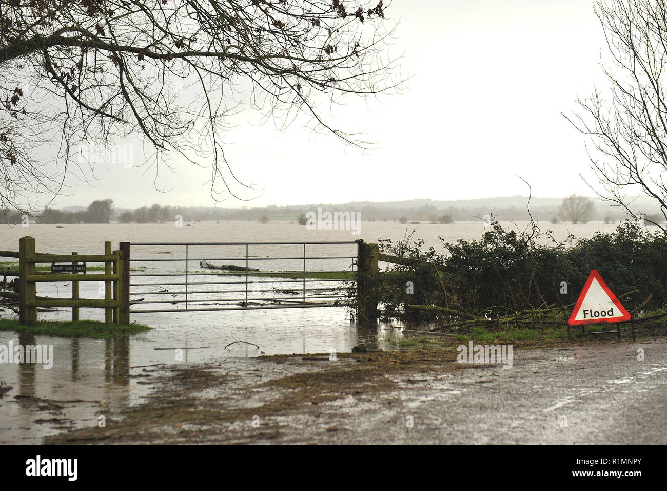 Überschwemmt Betriebe Somerset UK Stockfoto