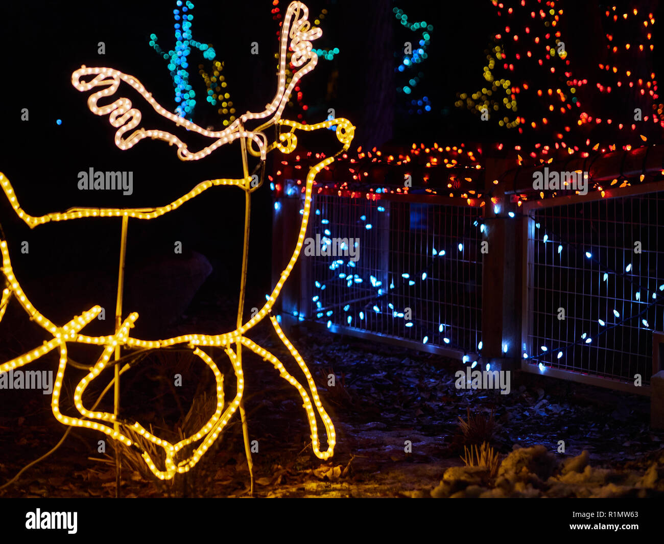 Elchleder von LED-Leuchten in Calgary Zoo Zoolights in Calgary, Alberta. Zoo Leuchten ist ein Ereignis, das jeden Dezember in Calgary Zoo betreibt. Stockfoto