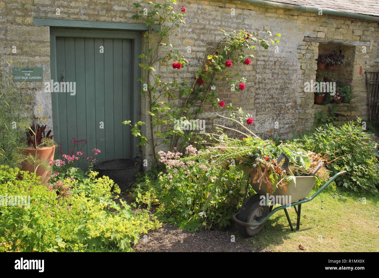 Detail Der Bauerngarten im Easton ummauerten Gärten im Sommer, Lincolnshire, England, Großbritannien Stockfoto