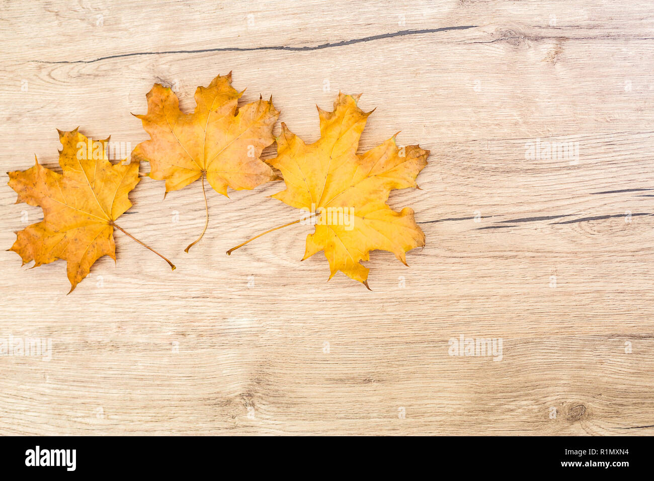 Herbstlaub über hölzerne Hintergrund Stockfoto