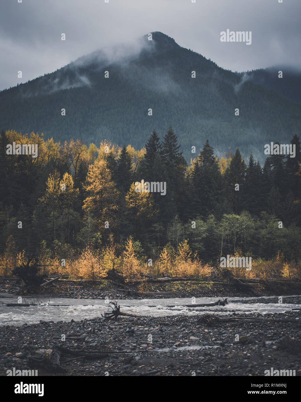 Mount Rainier Nationalpark Stockfoto