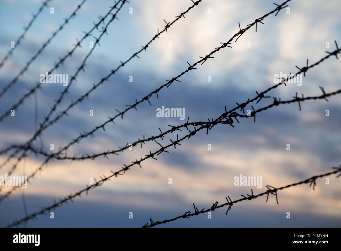 Silhouette der Stacheldrahtzaun gegen blurry bewölkter Himmel am Abend. Im Vordergrund standen. Stockfoto