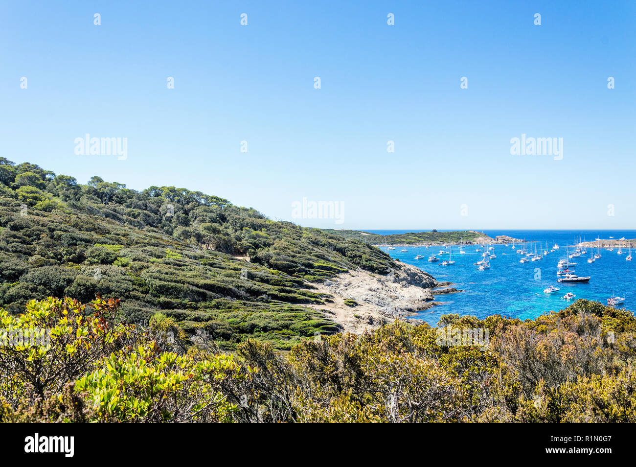 Seeküste im Sommer der Insel Porquerolles Stockfoto