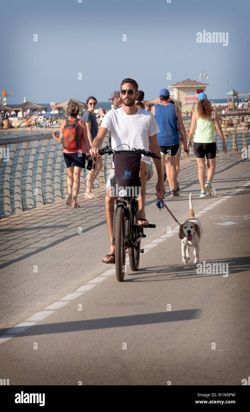 Ein junger Mann auf seinem Fahrrad und seinen Hund übung auf der Jim Spitz Radweg in Tel Aviv, Israel. Stockfoto