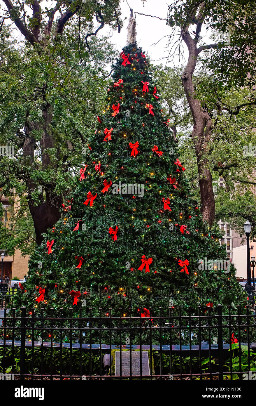 Ein Weihnachtsbaum ersetzt Bienville Squareís Brunnen während der Weihnachtszeit, Dezember 18, 2017 in Mobile, Alabama. Stockfoto