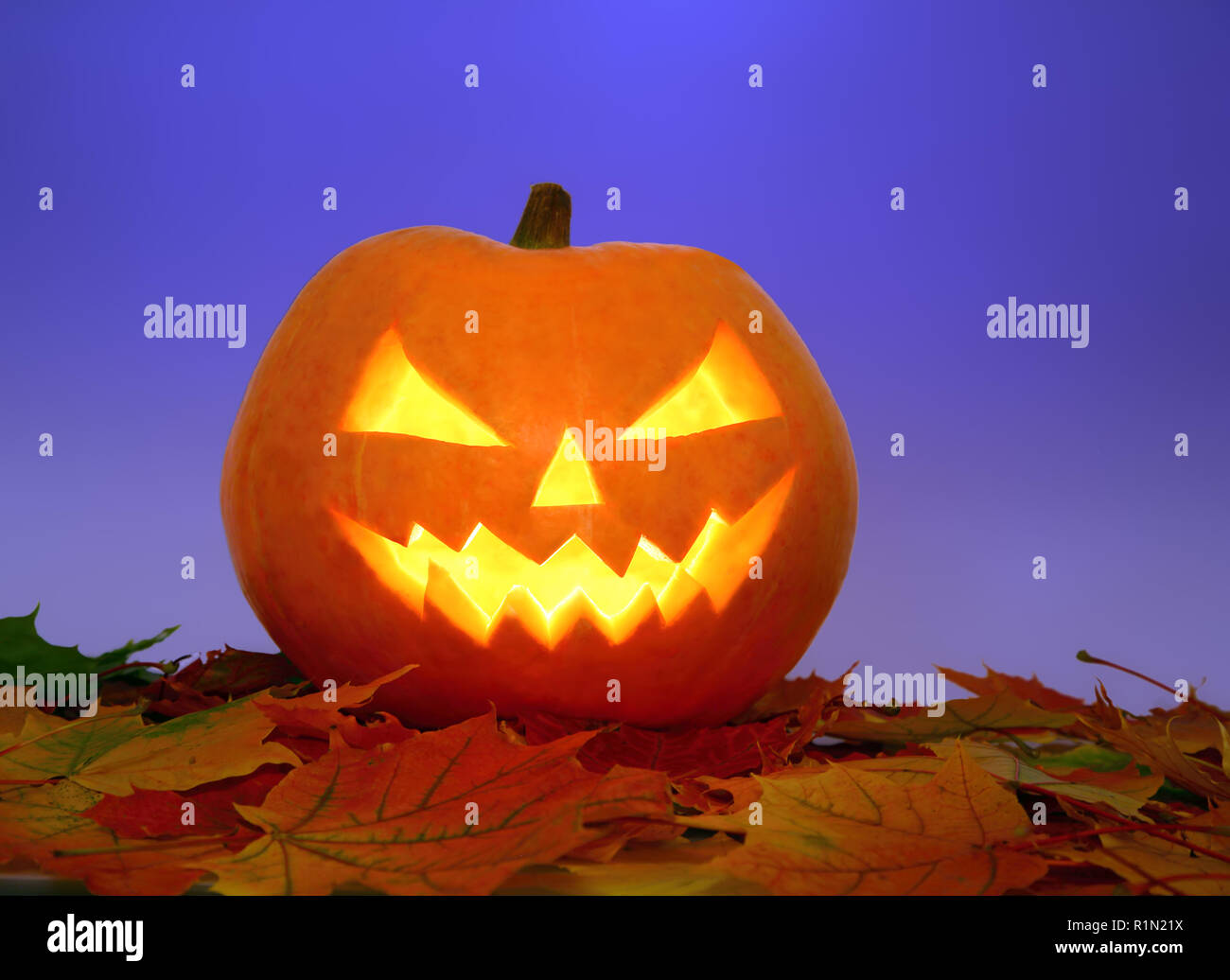 Halloween-Kürbis auf den Blättern Stockfoto