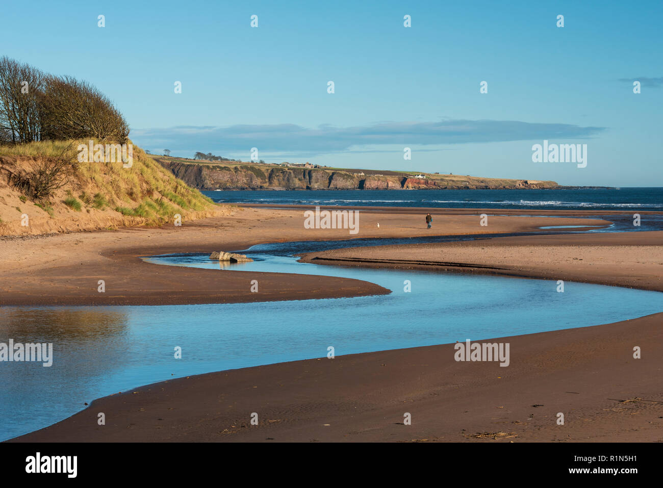 Lunan Wasserschlangen an der Nordsee halbierend Lunan Bay Beach, Angus, Schottland. Stockfoto