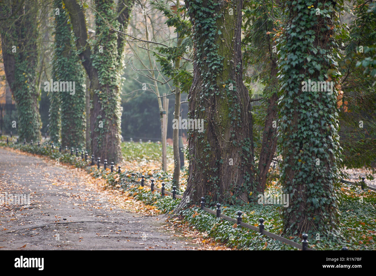 Park Szczytnicki im Herbst Wroclaw Niederschlesien Polen Stockfoto