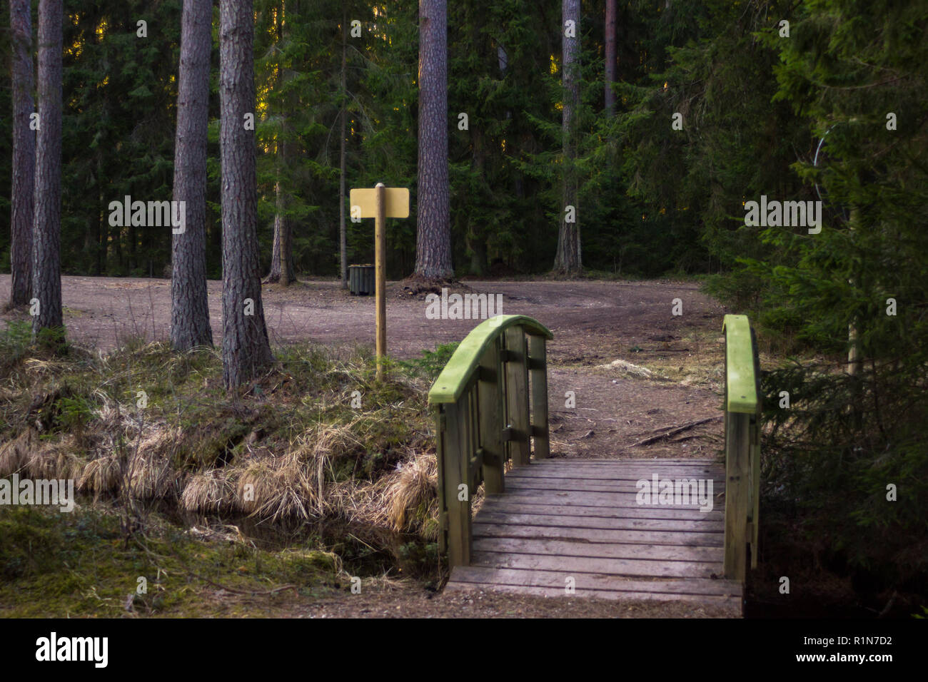 Ruhigen und sonnigen Frühling im Wald, mit Fußweg Brücke über den kleinen Fluss Stockfoto