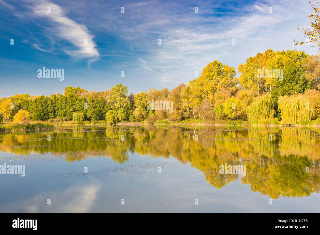 Spiegel Lagune von Bergen, schönen Herbst See Reflexion, bunte Blätter abgerundet Stockfoto