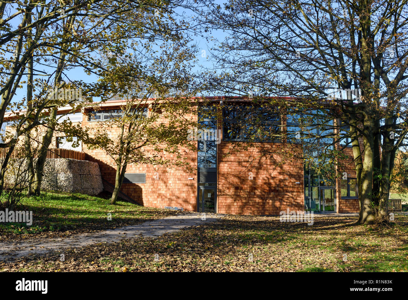 Sherwood Forest Visitor Centre grosse Eiche in Edwinstowe, Nottinghamshire, Großbritannien. Stockfoto
