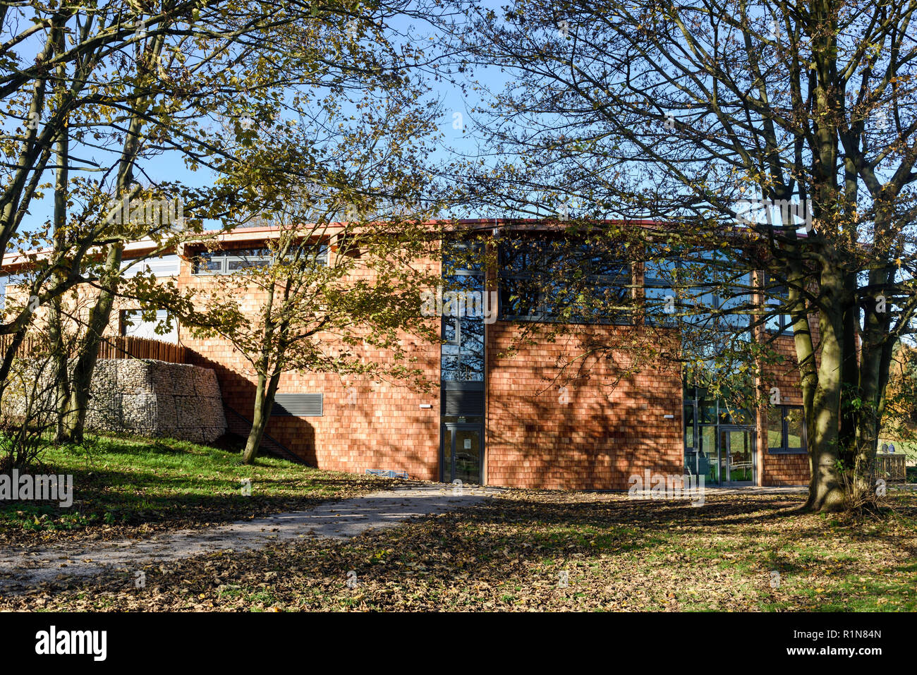 Sherwood Forest Visitor Centre grosse Eiche in Edwinstowe, Nottinghamshire, Großbritannien. Stockfoto
