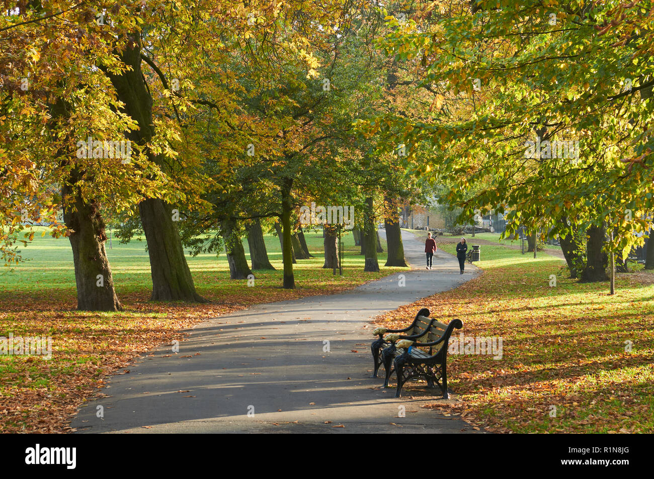 Clissold Park, Stoke Newington nördlich von London, mit Herbstfarben Stockfoto