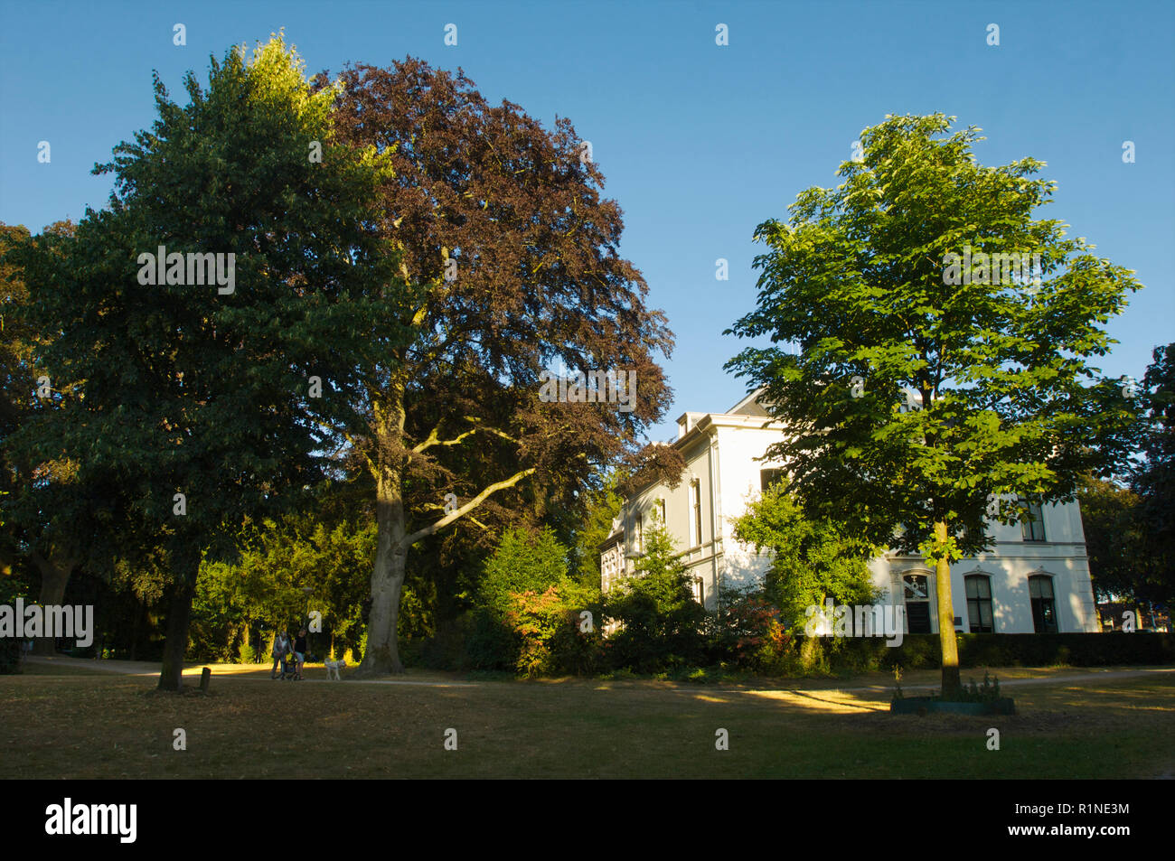 Im letzten Licht des Tages auf der majestätischen Bäumen im Park der Stadt Baarn, Niederlande Stockfoto